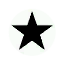 Emblem star 1.png