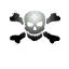 Emblem skull 2.png