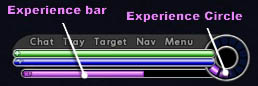 UI Experience Bar.jpg