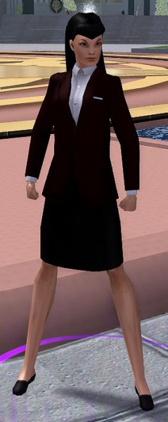 File:Merit Reward Representative.jpg