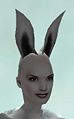 Bunny Ears.jpg