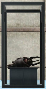 Black Scorpion's Armor Shard.jpg